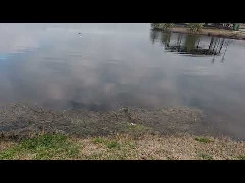 Lago artificial, hoteles del complejo termal Dolores. Buenos Aires 