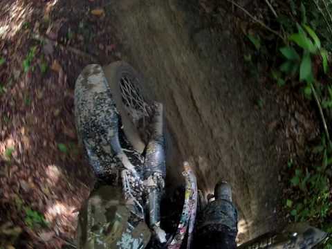 TRILHA DOS TRABALHADORES #2