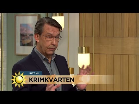 Krimkvarten: Hasse Aro om veckans brott - Nyhetsmorgon (TV4)