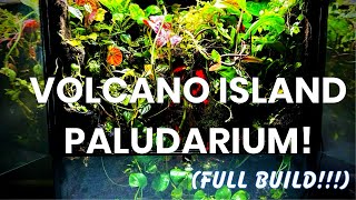 Volcano Island Paludarium Build (step by step)