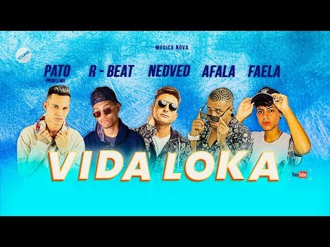 PATO PROBLEMA, MC NEDVED, R-BEAT, MC AFALA E FAELA - VIDA LOKA