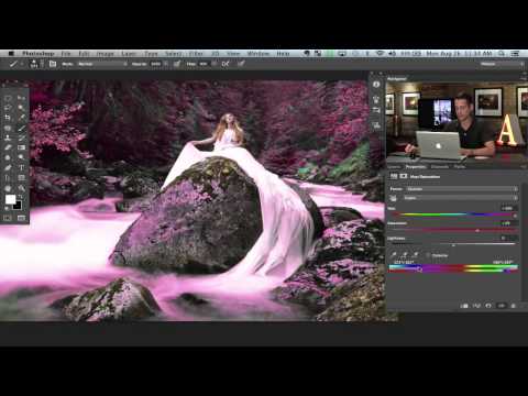 How to Set Up and Use a Wacom Tablet