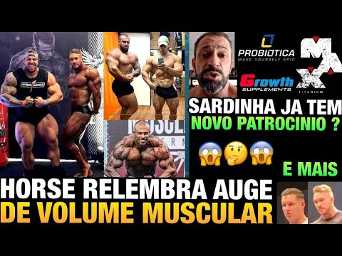 HORSE DEIXAVA RAMON E ZANCA PEQUENOS NESSA ÉPOCA - SARDINHA RESPONDE SOBRE NOVO PATROCINIO E MAIS