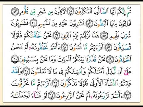 القرآن الكريم بالتفسير الميسر الصفحة 536