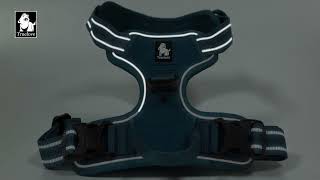 Video de Arnes Antipull Para Perro Truelove TLH5651 Reflectante Acolchado