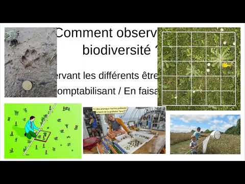 Les échelles de la biodiversité