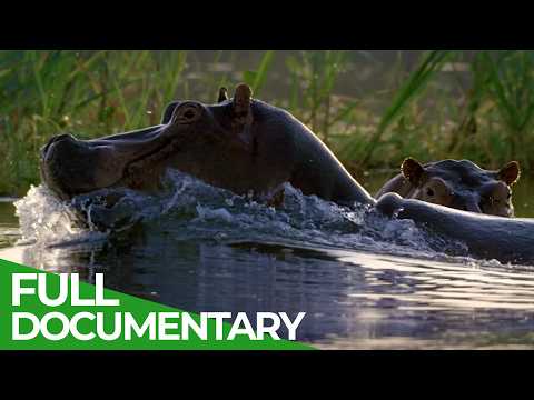 The Origins of The World s Longest River
