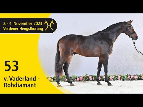 Verden Stallion Licensing 2023 - Dressage - Nov. 2-4 - No. 53 Stallion by Vaderland - Rohdiamant