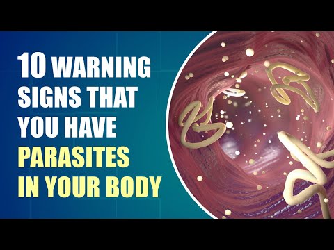 Don't Ignore These Early Symptoms of Parasites In Your Body