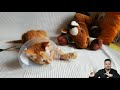 Qué Tal Si Me Adoptas - Los protagonistas