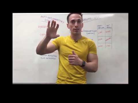 Anti-inflammatory Steroids