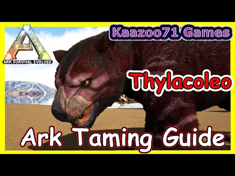 How to tame a Thylacoleo in Ark 💥 Ark Survival Evolved