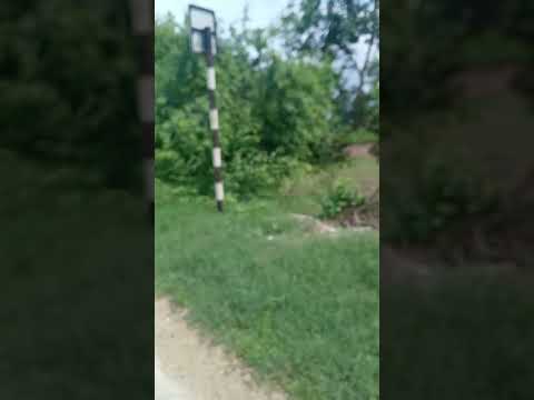 lovely nature 😍 ❤️ 💕 👌 😊 💖