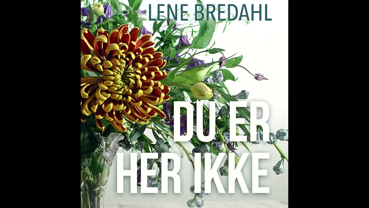 Podcast om bogen “Du er her ikke”