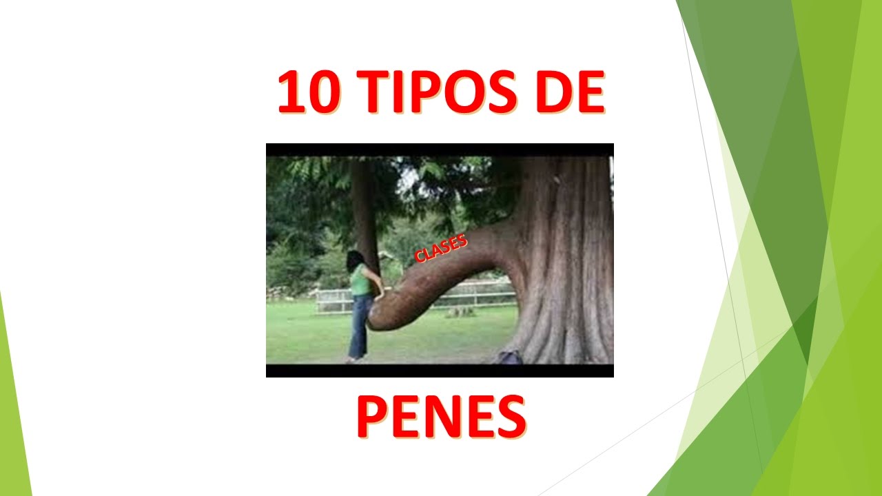 TIPOS DE PENES (FOTOS)