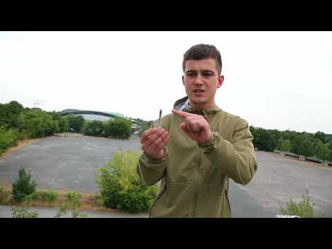 Ritter Dando & D.K.denz (DK.DANDO) - Pavarotti