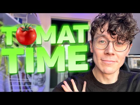 Es ist wieder Zeit für Tomaten! - Sp4zie IRL