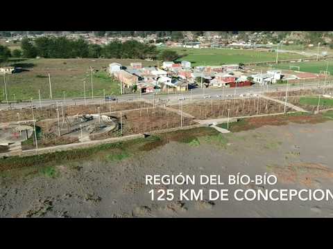 Viaje en moto a Cobquecura.