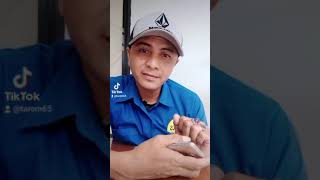 Download lagu apakah itu cinta😄 mp3