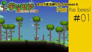 【テラリアPC版】#01 / S6:Not the bees!【ゆっくり実況/しばりプレイ】