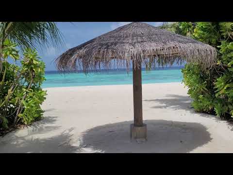 Videos del Robinson Noonu 5★ en Manadhoo, MaldivasVer MásVerPrecios20CerrarConsulta por Whatsapp 🇦🇷BookingTripadvisorExpediaAgodaTravelocityOrbitzPricelineTripSkyscannerDespegarKayakHotelesDestiniaTrivagoAlmundoLastminuteHotwireCheapticketsTuiWotif