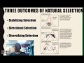 Directional, Stabilizing, and Diversifying Selection