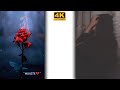After Breakup Nusrat Fateh Ali Khan Aesthetic Status WhatsApp IOS Status MR Status