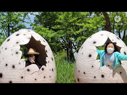 시네마 천국 플루트 연주