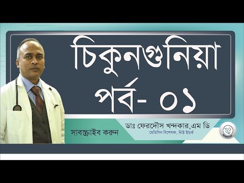 চিকুনগুনিয়ার ব্যাথা উপশমের উপায় !! আমেরিকান বিশেষজ্ঞ ডাক্তারের পরামর্শ