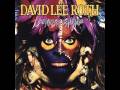 David Lee Roth-Goin' Crazy lyrics