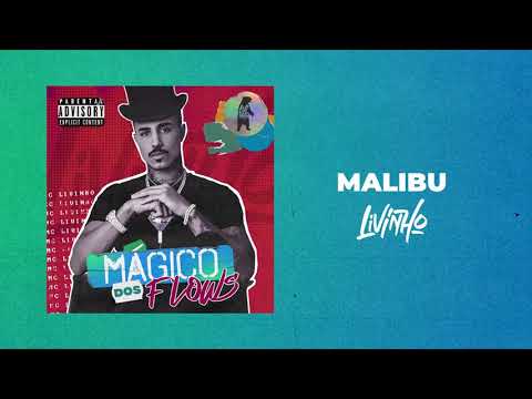 MALIBU ( ÁLBUM MÁGICO DOS FLOWS )