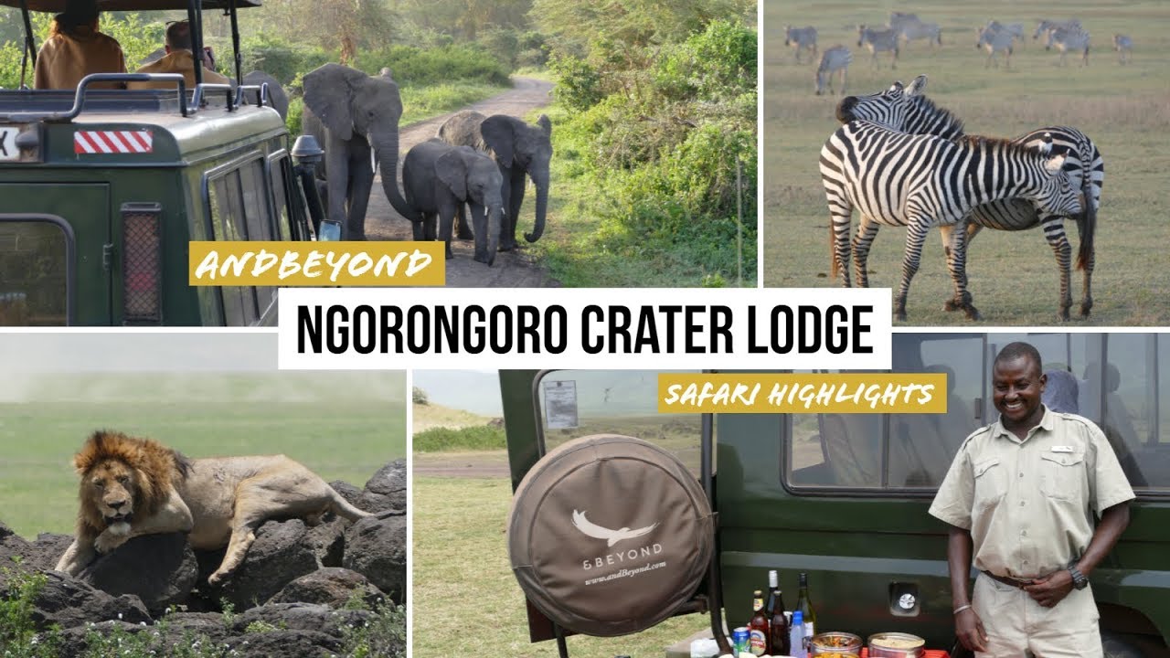 Ngorongoro Crater Lodge: Versailles trifft Massai am Naturwunder