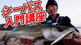 【お手軽シーバス】港湾デイゲームのススメ～広川嘉孝