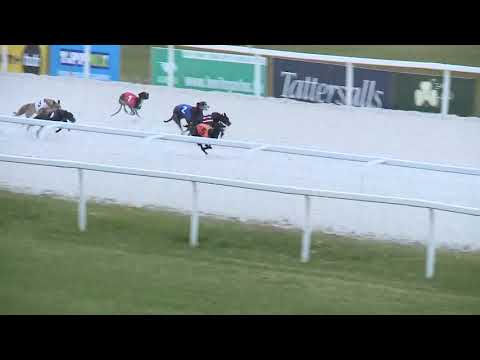 2017.11.11. 4. futam - Agár verseny