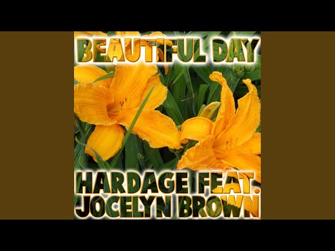 Beautiful Day (Radio Edit UK)