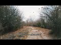 Waylon Wyatt Stranger To Me Official Lyric Video