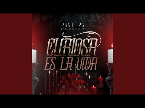 Curiosa Es La Vida
