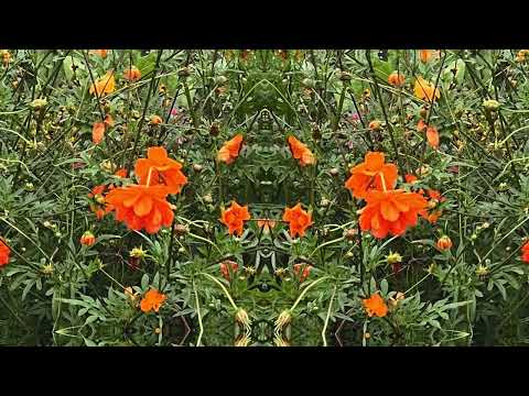 Jefre Cantu-Ledesma - September (Official Audio)