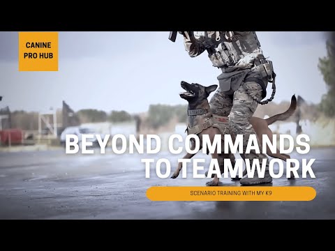 The Best Canine Pro Hub - Scenario Training with my K9 Athena