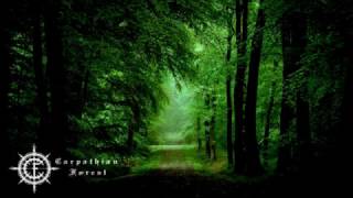 Carpathian Forest   A Forest