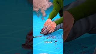 Download lagu How A Butterfly Mine Works 🤔 mp3 Download lagu How A Butterfly Mine Works 🤔 mp3