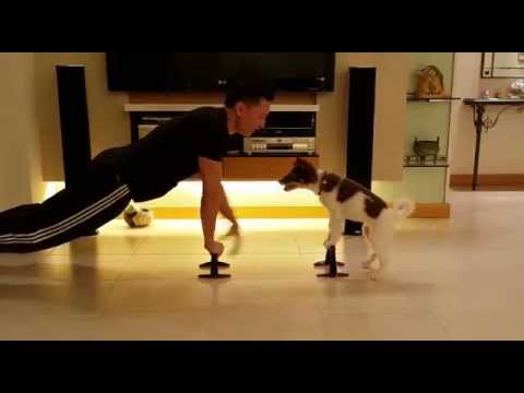 Fitness exercise with your dog (One, Two, Three, Four, Kiss??) - Eric Ko & Teeny thumnail