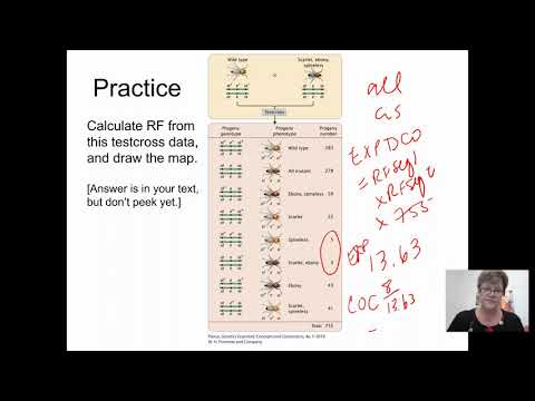 Genetics BIOL 2416 Chapter 5 Part 6 Recording