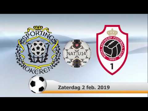 Nat. Elite U14 -  Sporting Lokeren - Royal  FC Antwerp