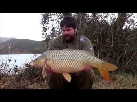 Ebro Fishing Dreams - Winter wishes