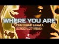 John Summit & Hayla - Where You Are (Gorgon City Remix) [Official Lyric Visualizer]