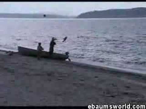 sleepless in seattle