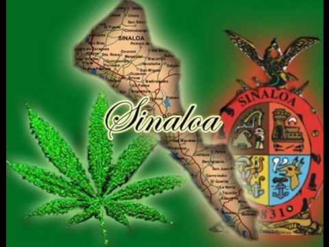 Consulado M1 - Grupo Escolta