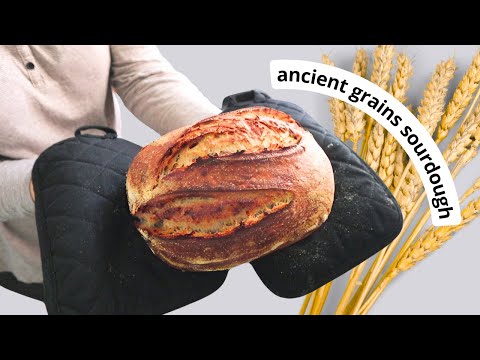 Emmer wheat sourdough (it's beautiful)