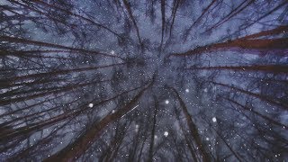 Marching To The End (Live)